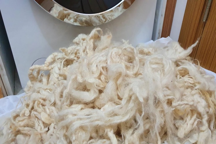 Çamaşır Makinesinde Yün Yıkanır Mı?