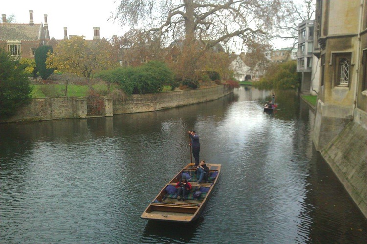 Cambridge Diyeti Nedir?