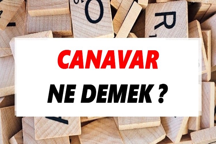Canavar Neye Denir?