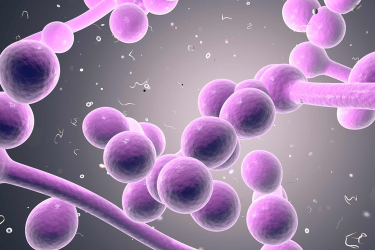 Candida Albicans Belirtileri Nelerdir?