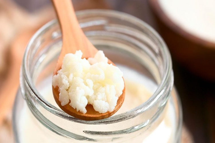 Canlı Kefir Mayası Nasıl Saklanır?