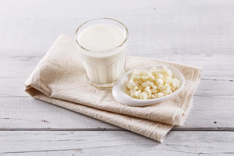 Canlı Kefir Mayası Nerede Bulunur?