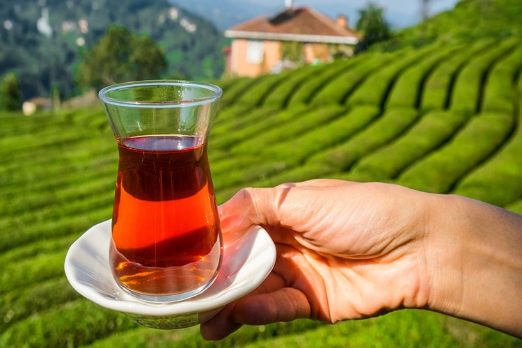Çay Kan Şekerini Yükseltir Mi?
