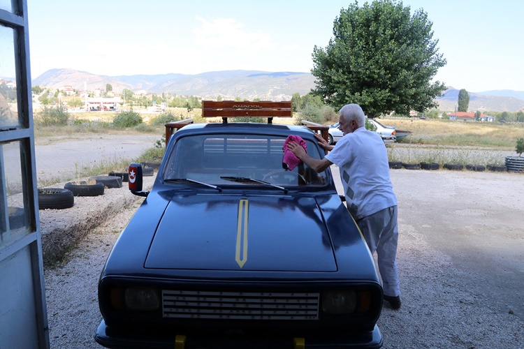 Ceviz Ağacı Arabaya Zarar Verir Mi?