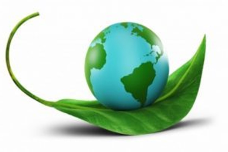 Çevre İzni Nedir? Nasıl Alınır?