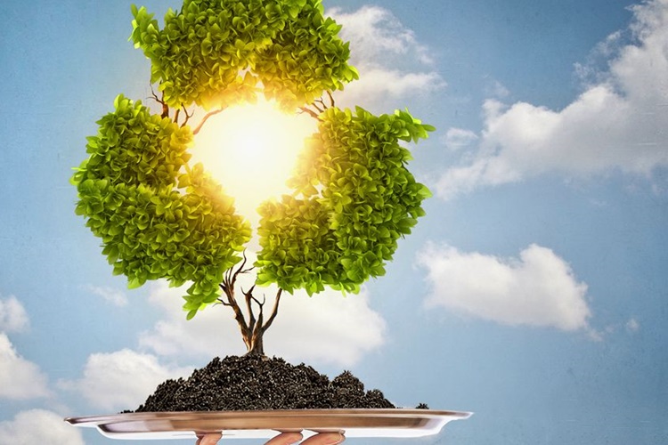 Çevre Neden Önemlidir?