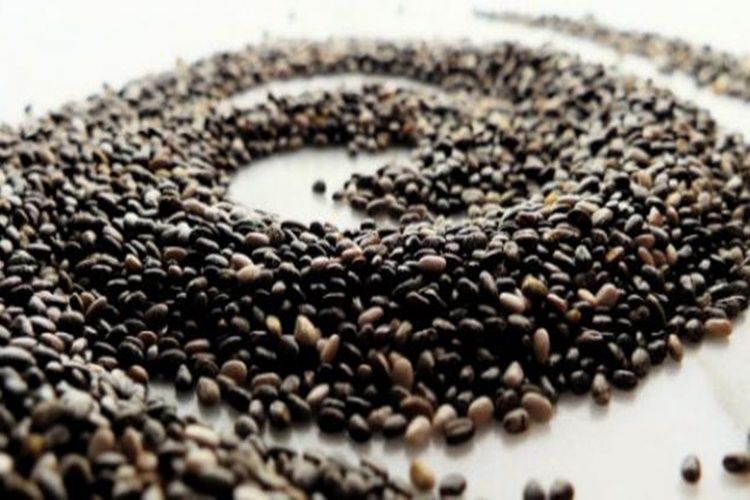 Chia Tohumu Bağırsakları Çalıştırır Mı?