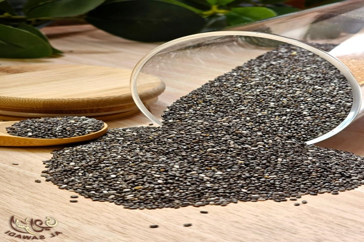 Chia Tohumu Bayatlar Mı?