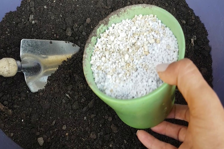 Çiçek Toprakları Hakkında Merak Edilen Bilgiler