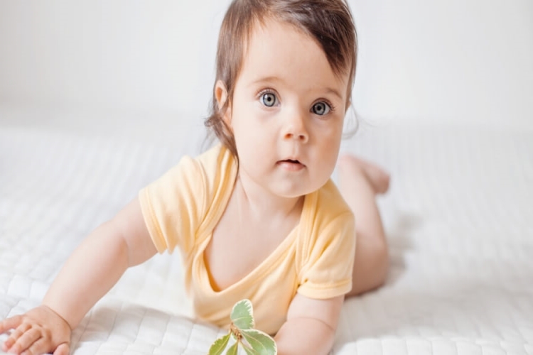 Cici Bebe Süt Bebeklere Ne Zaman Verilir?