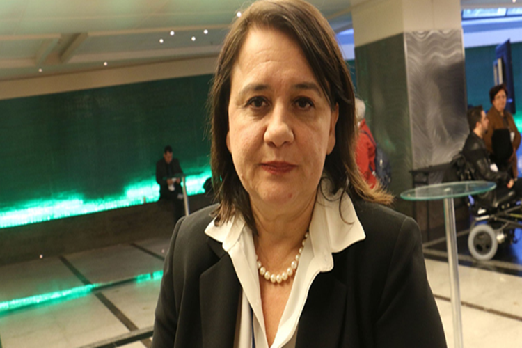 Çiğdem Toker Nerede Yazıyor?