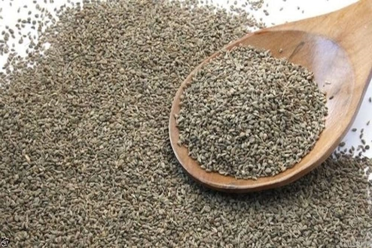 Çim Tohumu Nerede Satılır?