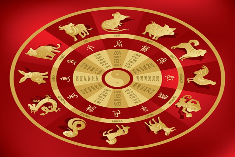 Çin Astrolojisi Domuz Burcu Özellikleri Nelerdir?