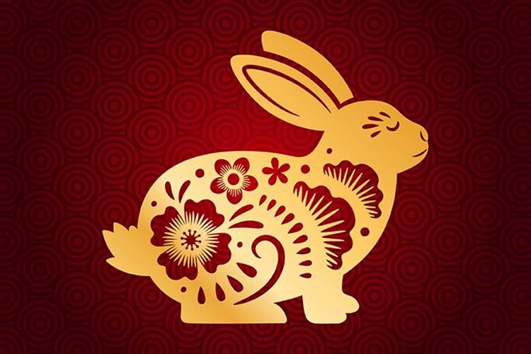 Çin Burcu Tavşan Özellikleri Nelerdir?