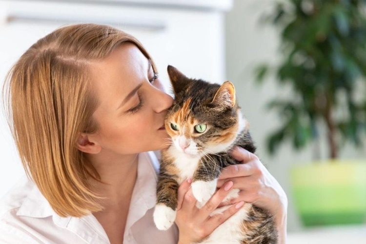 Çip Kedileri Rahatsız Eder Mi?