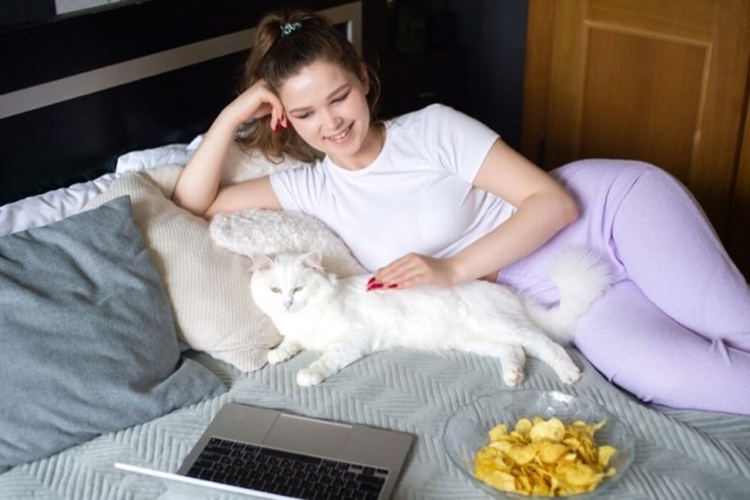 Cips Kedilere Zararlı Mı?