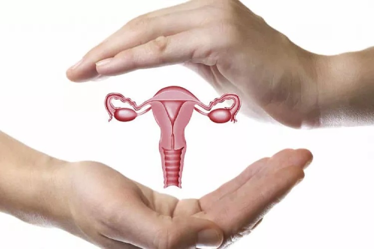 Civan Perçemi Rahmi Temizler Mi?