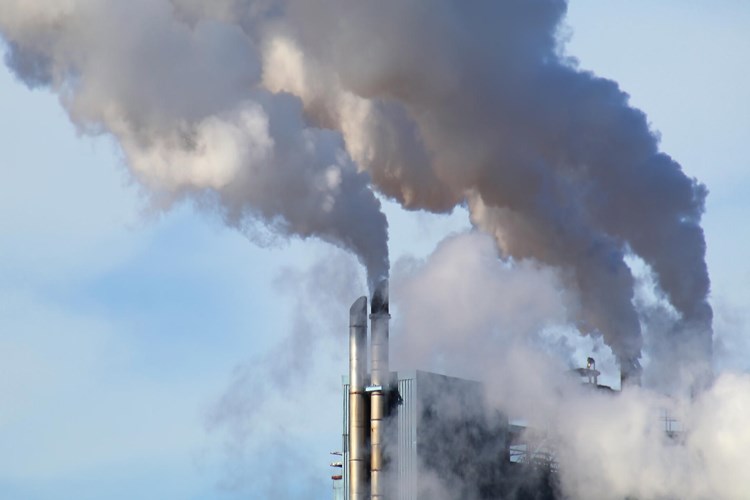 Co2 Günlük Hayatta Nerelerde Kullanılır?