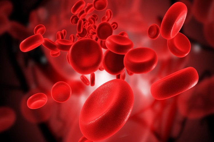  Çocuklarda Ferritin Kaç Olursa Tehlikelidir?