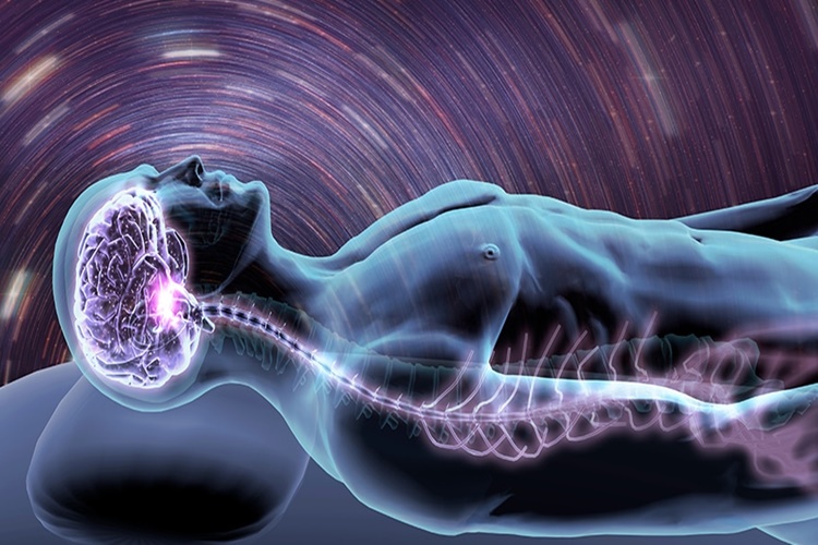 Çok Rüya Neden Görülür?