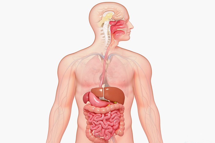 Çoklu Organ Yetmezliği Belirtisi Nedir?