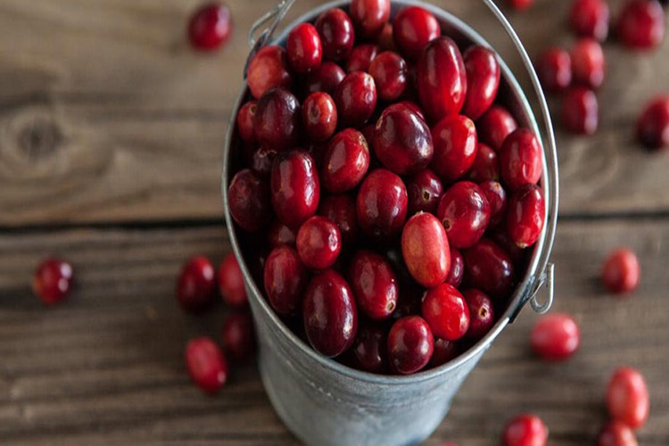 Cranberry Türkiye’de Yetişir Mi?