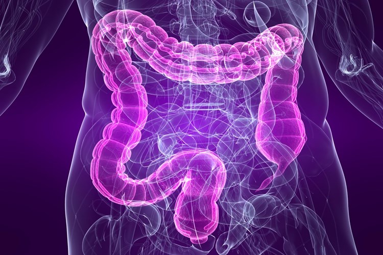 Crohn Hastalığı Diyeti Nasıl Yapılır?