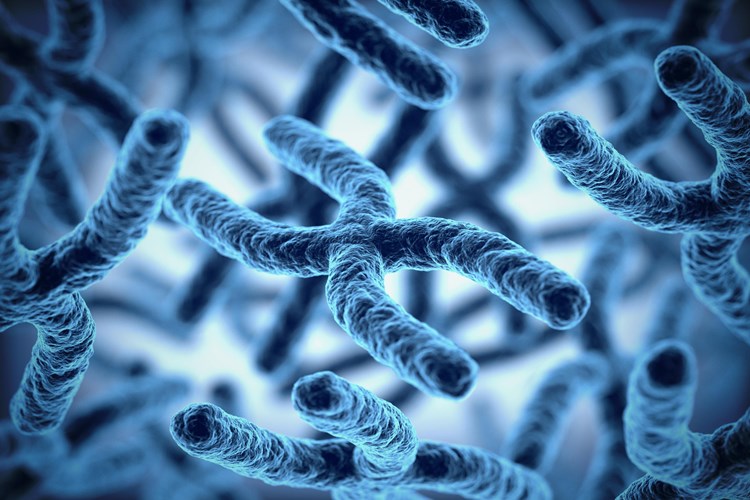 Crohn Hastalığı Genetik Midir?