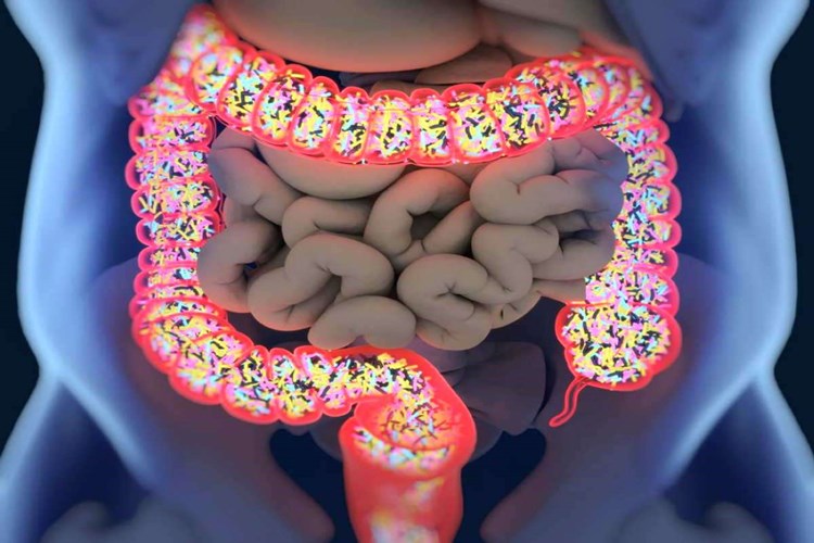 Crohn Hastalığına Ne İyi Gelir?