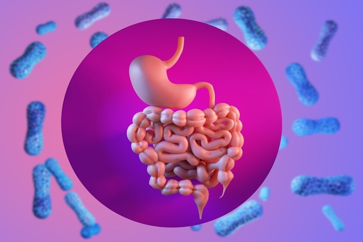 Crohn Hastası Malulen Emekli Olabilir Mi?