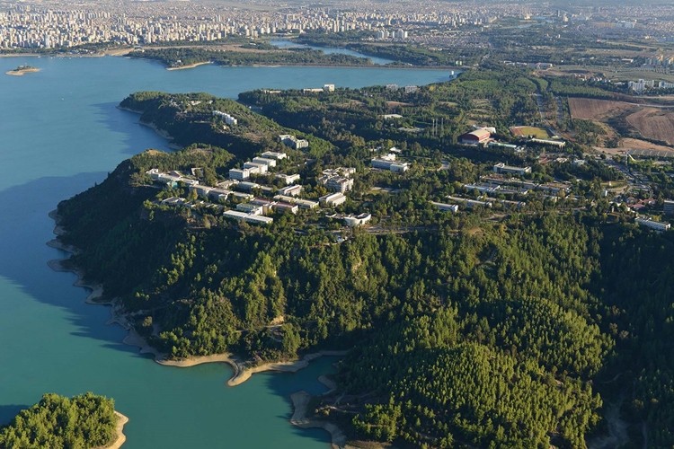 Çukurova Üniversitesi Ne Zaman Kuruldu?
