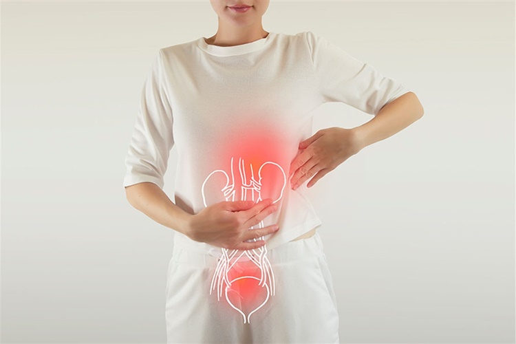D Vitamini İdrar Yolu Enfeksiyonu Yapar Mı?