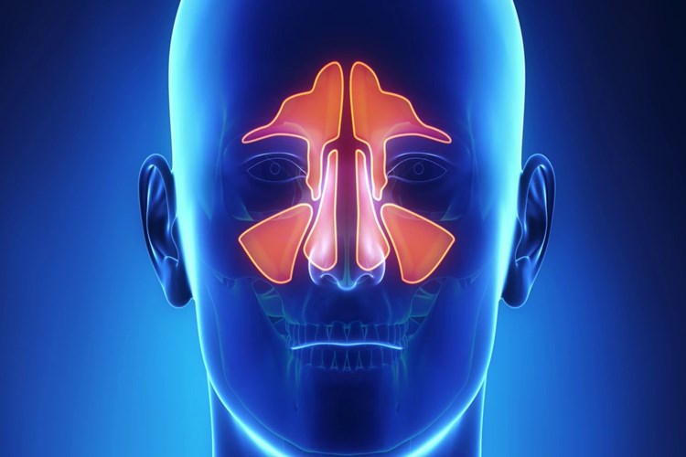 D Vitamini Sinüzite İyi Gelir Mi?