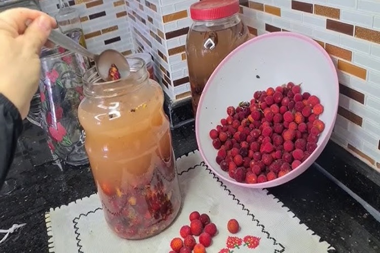 Dağ Çileği Sirkesi Zararları Nelerdir?