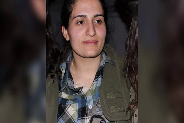 Dağlara Gel Dağlara Şarkısını Kim Yazdı?