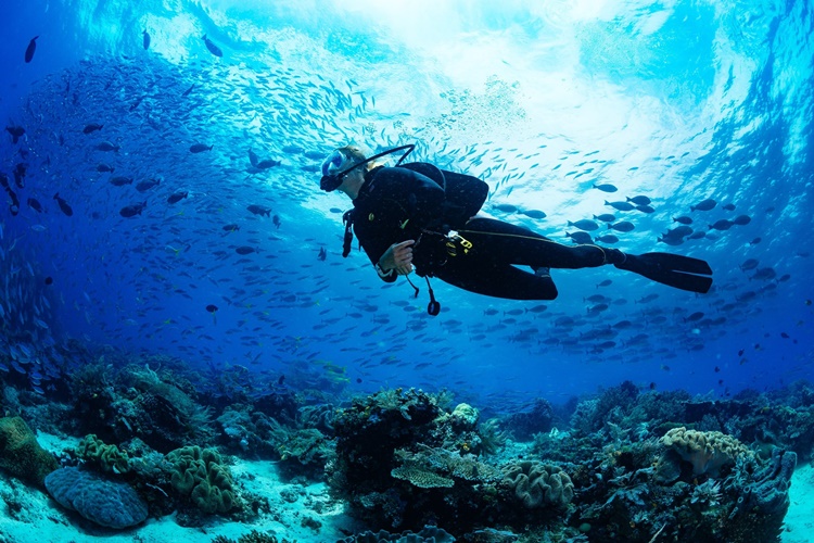 Dalış Sporu İle İlgili Bilgiler