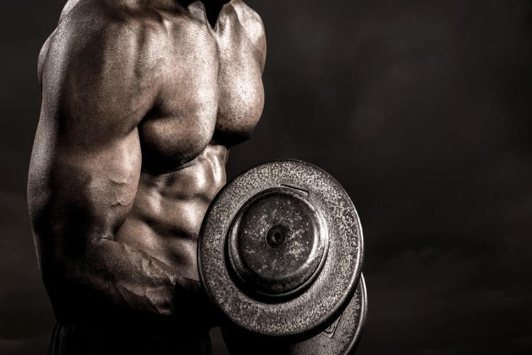 Dambıl Neye Göre Alınır?