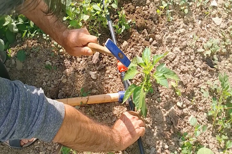Damlama Tıkanıklığı Nasıl Açılır?