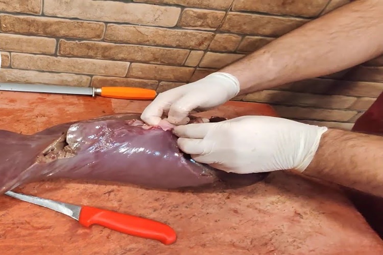 Dana Ciğeri Neden Sert Olur?