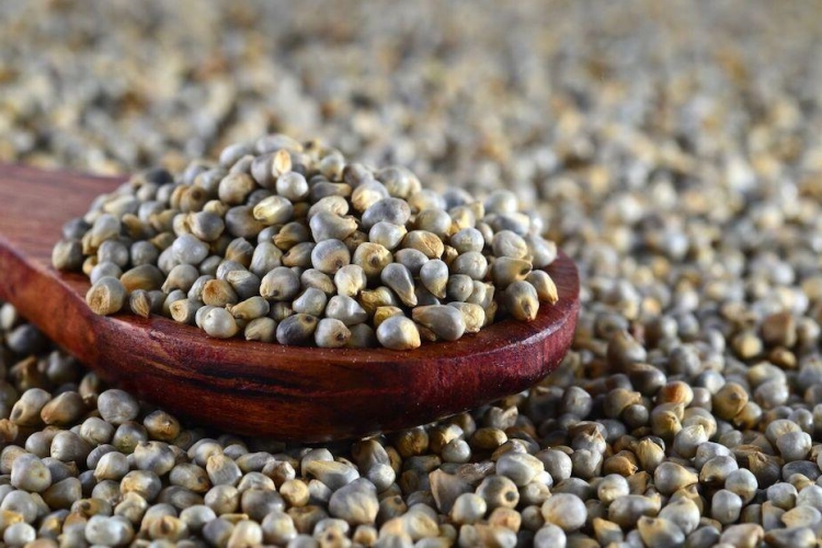 Darıda Gluten Var Mı?
