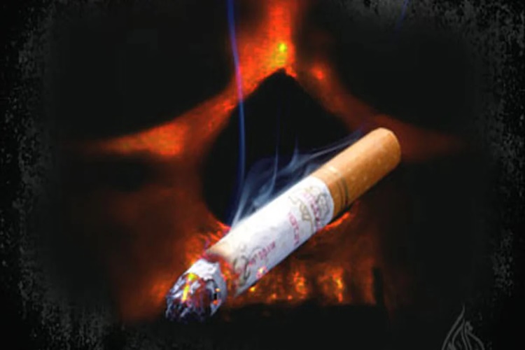 Davidoff Sigara Vegan Mı?