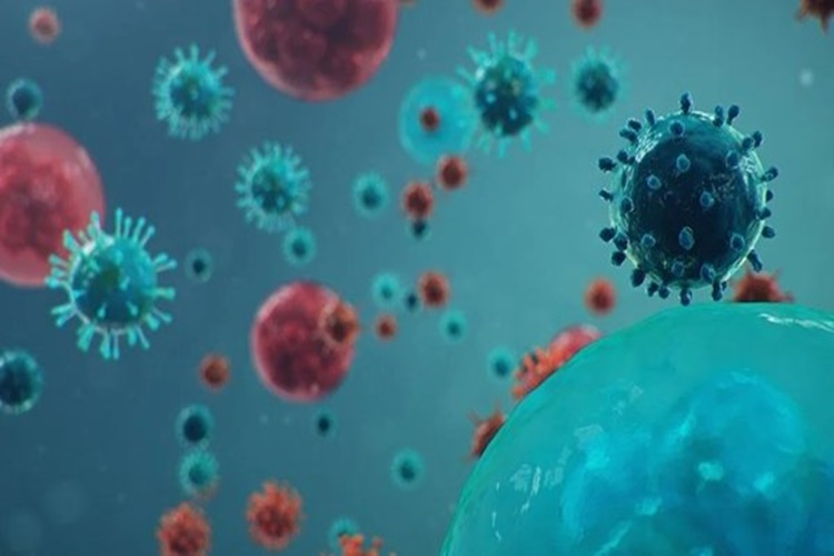 Delmicron Varyantı Nedir?