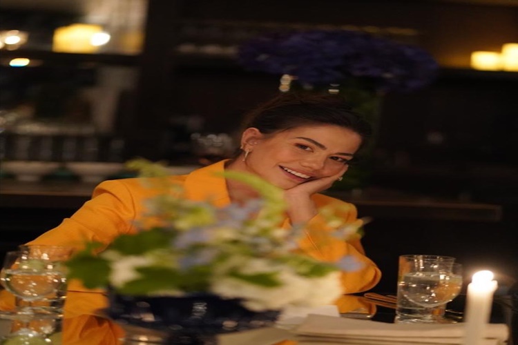Demet Özdemir Dizileri Nelerdir?