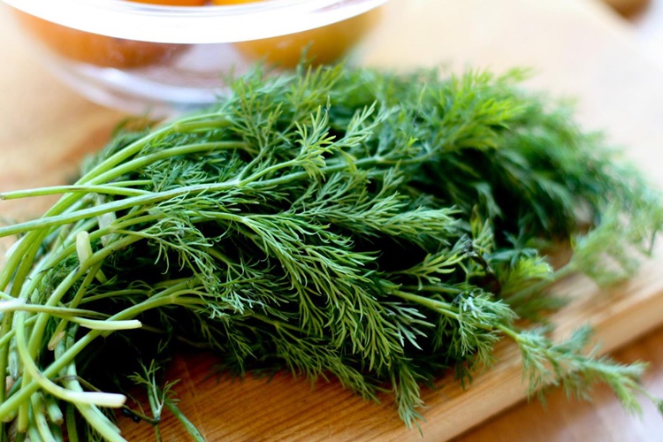 Dereotu Hamilelere Zararlı Mı? 