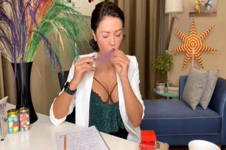 Didem Ceran Nasıl Ünlü Oldu?