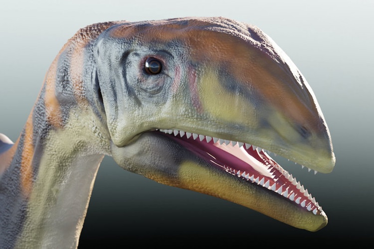 Dinozorlar Ne Zaman Keşfedildi?