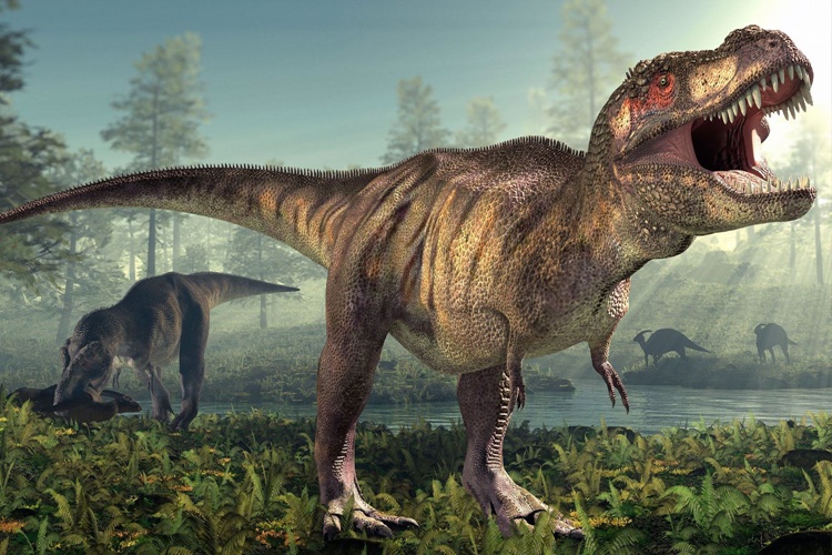 Dinozorlara Ne Oldu?