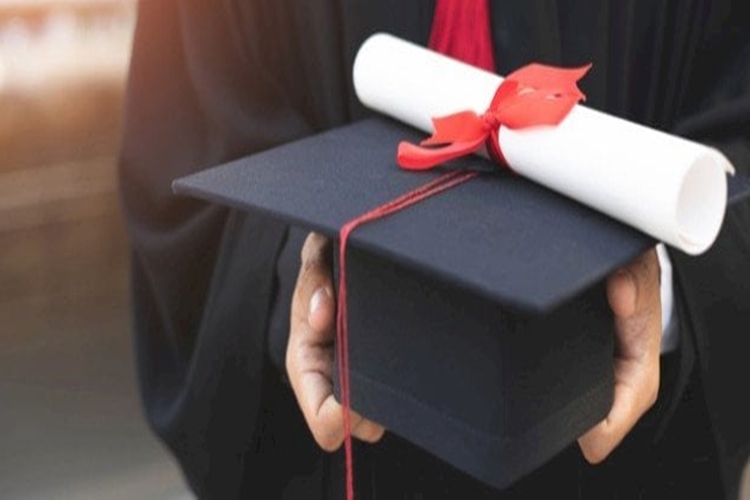 Diplomamı Kaybettim Ne Yapmalıyım?