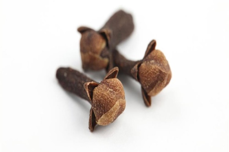 Diş Ağrısına Karanfil Nasıl Uygulanır?