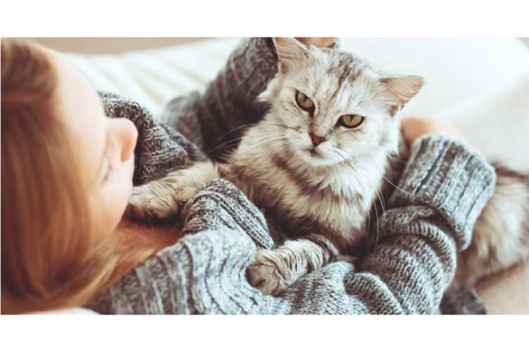 Dış Parazit İnsana Bulaşır Mı?